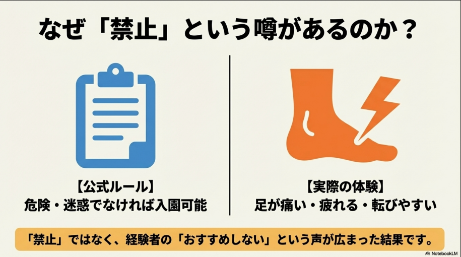 公式ルールでは可能だが、実際の体験として「疲れる・転びやすい」ためおすすめしない声が広まった背景の図解